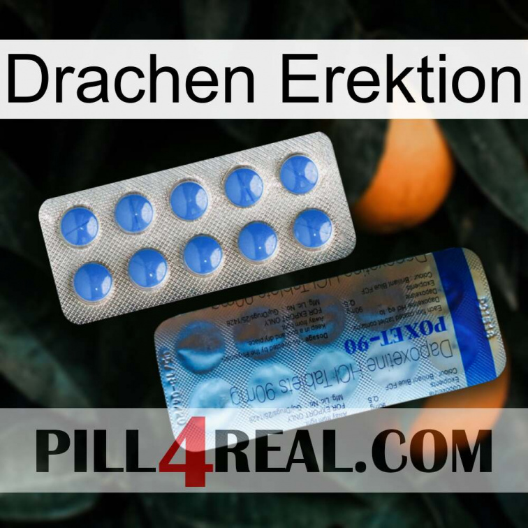 Dragon Erection 40